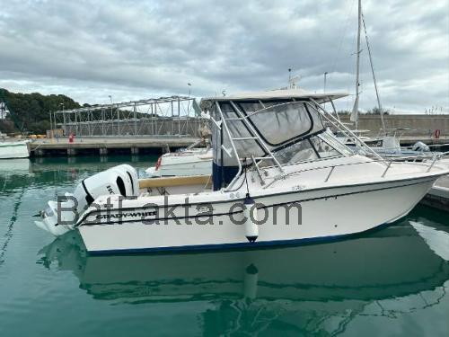 Grady White 265 Express tekniska specifikationer och recensioner